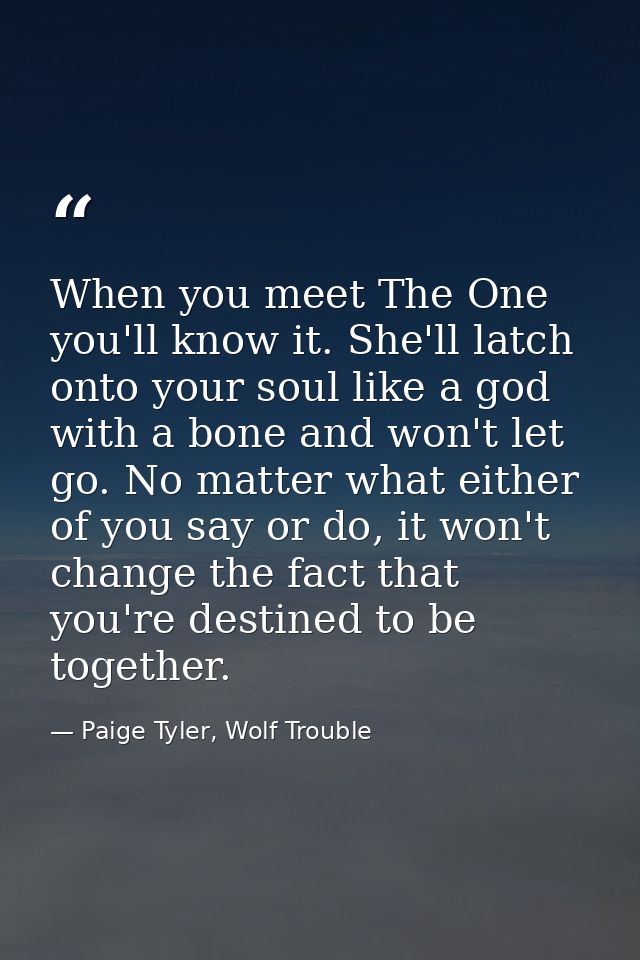 When you meet The One you'll know it. She'll latch onto your soul like a god with a bone and won't let go. No matter wha — Paige Tyler, Wolf Trouble
