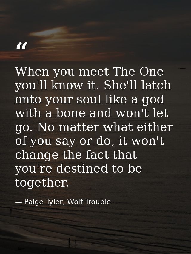 When you meet The One you'll know it. She'll latch onto your soul like a god with a bone and won't let go. No matter wha — Paige Tyler, Wolf Trouble