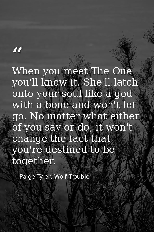 When you meet The One you'll know it. She'll latch onto your soul like a god with a bone and won't let go. No matter wha — Paige Tyler, Wolf Trouble