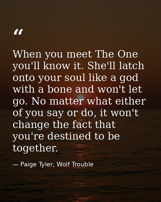 When you meet The One you'll know it. She'll latch onto your soul like a god with a bone and won't let go. No matter wha — Paige Tyler, Wolf Trouble