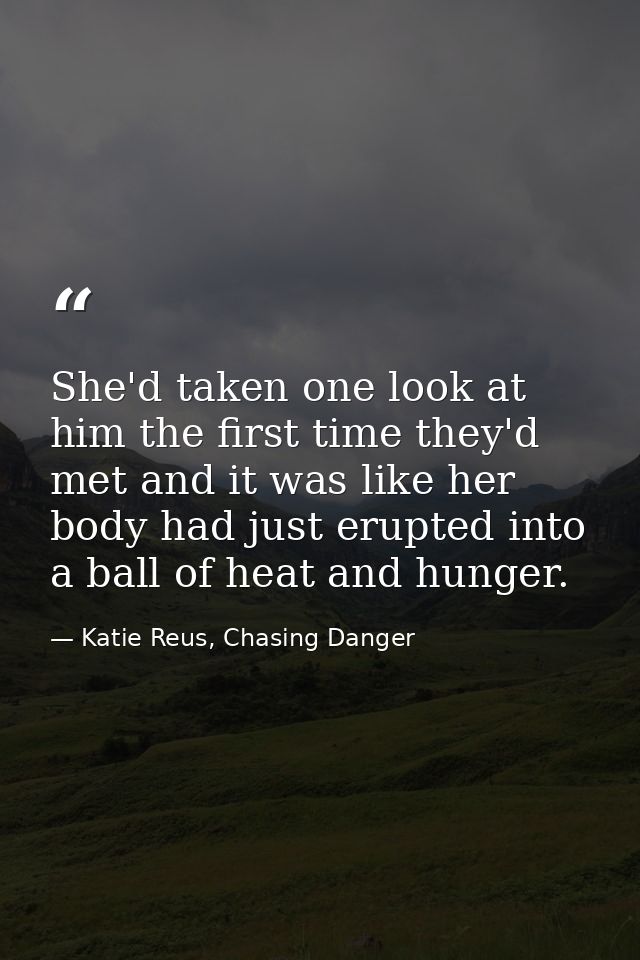 She'd taken one look at him the first time they'd met and it was like her body had just erupted into a ball of heat and  — Katie Reus, Chasing Danger
