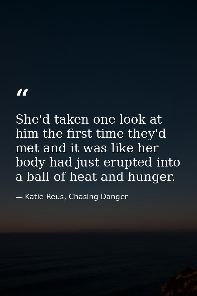 She'd taken one look at him the first time they'd met and it was like her body had just erupted into a ball of heat and  — Katie Reus, Chasing Danger