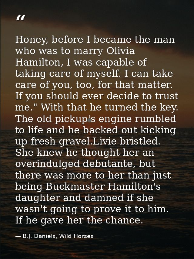 Honey, before I became the man who was to marry Olivia Hamilton, I was capable of taking care of myself. I can take care — B.J. Daniels, Wild Horses