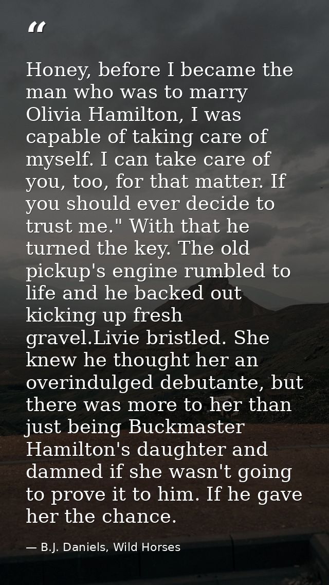 Honey, before I became the man who was to marry Olivia Hamilton, I was capable of taking care of myself. I can take care — B.J. Daniels, Wild Horses