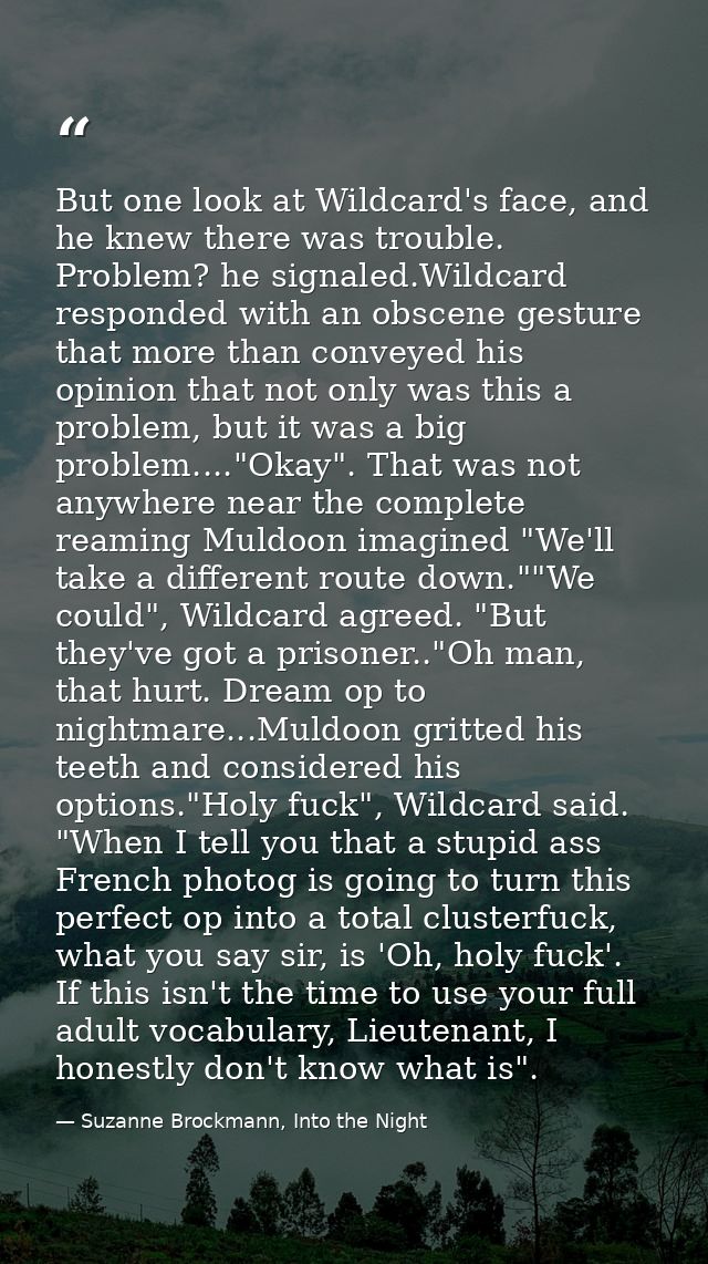 But one look at Wildcard's face, and he knew there was trouble. Problem? he signaled.Wildcard responded with an obscene  — Suzanne Brockmann, Into the Night
