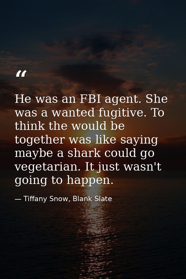 He was an FBI agent. She was a wanted fugitive. To think the would be together was like saying maybe a shark could go ve — Tiffany Snow, Blank Slate