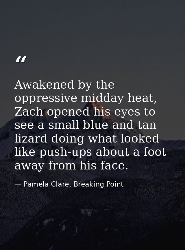 Awakened by the oppressive midday heat, Zach opened his eyes to see a small blue and tan lizard doing what looked like p — Pamela Clare, Breaking Point