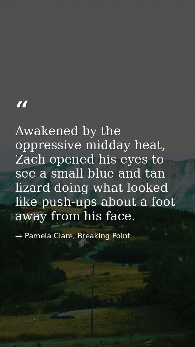 Awakened by the oppressive midday heat, Zach opened his eyes to see a small blue and tan lizard doing what looked like p — Pamela Clare, Breaking Point