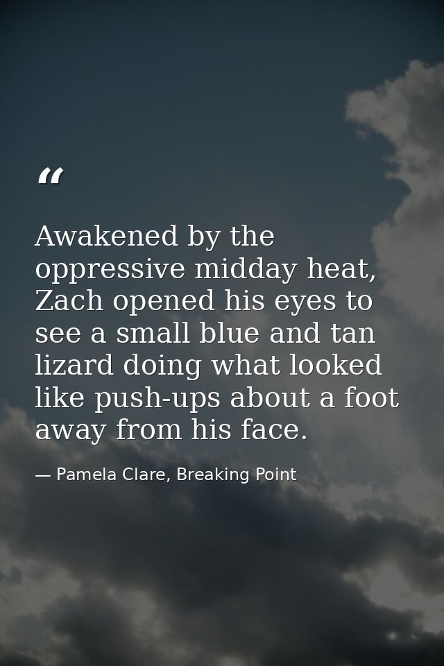 Awakened by the oppressive midday heat, Zach opened his eyes to see a small blue and tan lizard doing what looked like p — Pamela Clare, Breaking Point