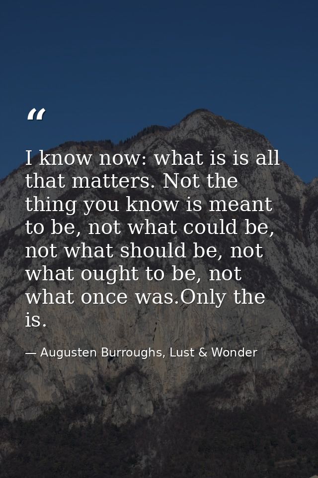 I know now: what is is all that matters. Not the thing you know is meant to be, not what could be, not what should be, n — Augusten Burroughs, Lust & Wonder