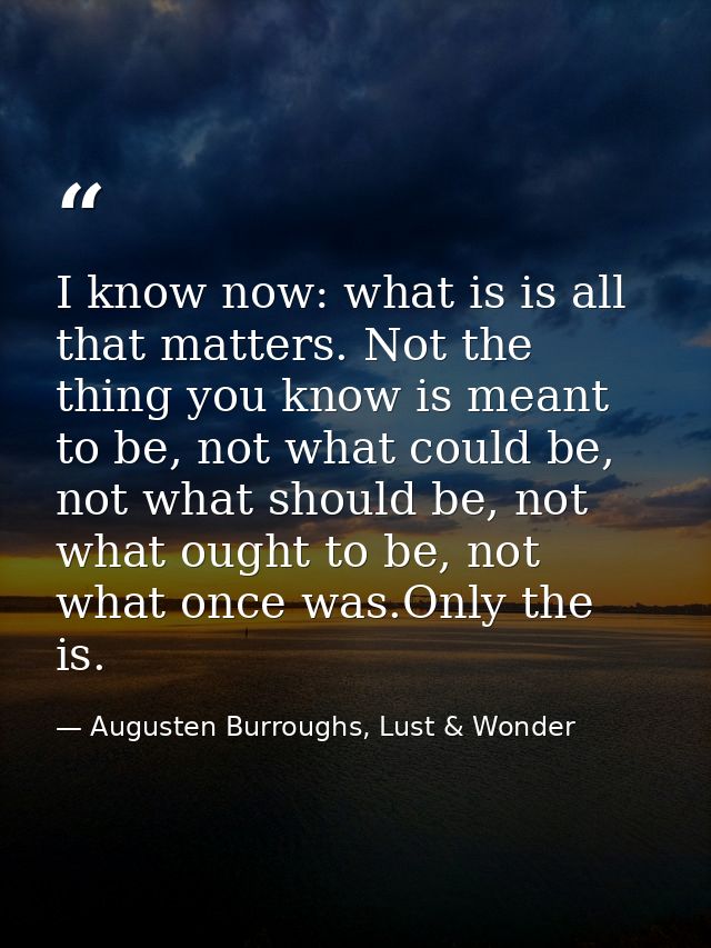 I know now: what is is all that matters. Not the thing you know is meant to be, not what could be, not what should be, n — Augusten Burroughs, Lust & Wonder