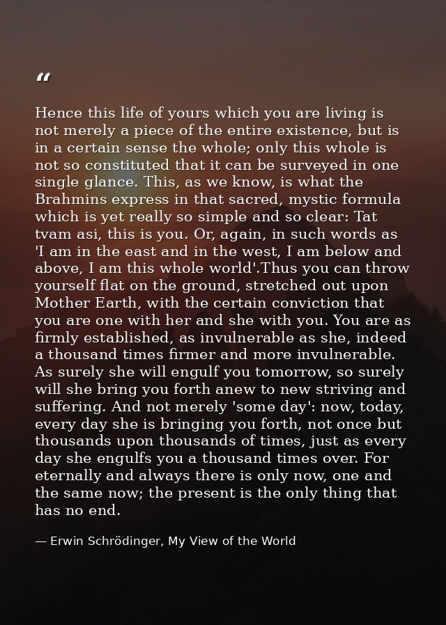Hence this life of yours which you are living is not merely a piece of the entire existence, but is in a certain sense t — Erwin Schrödinger, My View of the World
