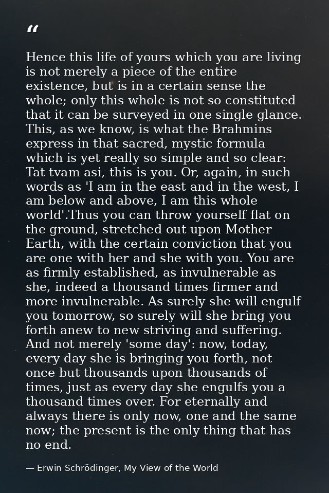 Hence this life of yours which you are living is not merely a piece of the entire existence, but is in a certain sense t — Erwin Schrödinger, My View of the World