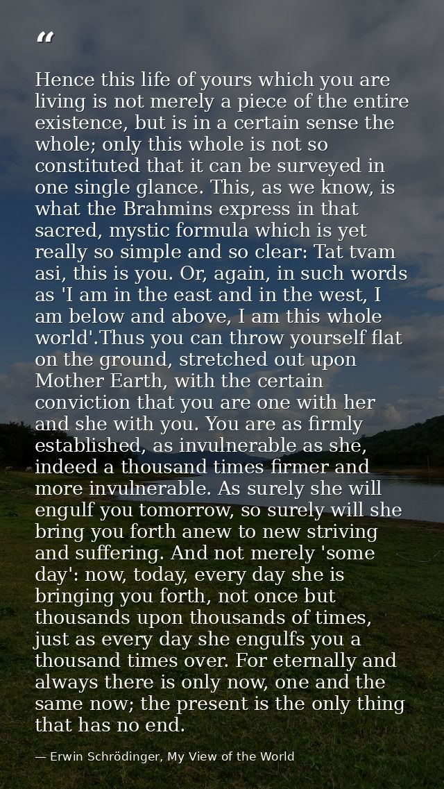Hence this life of yours which you are living is not merely a piece of the entire existence, but is in a certain sense t — Erwin Schrödinger, My View of the World