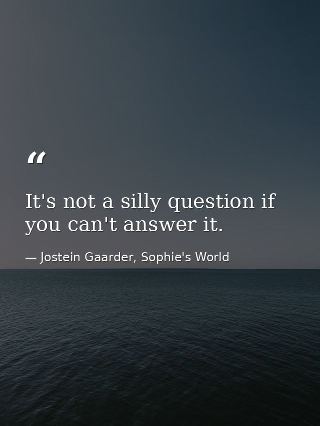 It's not a silly question if you can't answer it. — Jostein Gaarder, Sophie's World
