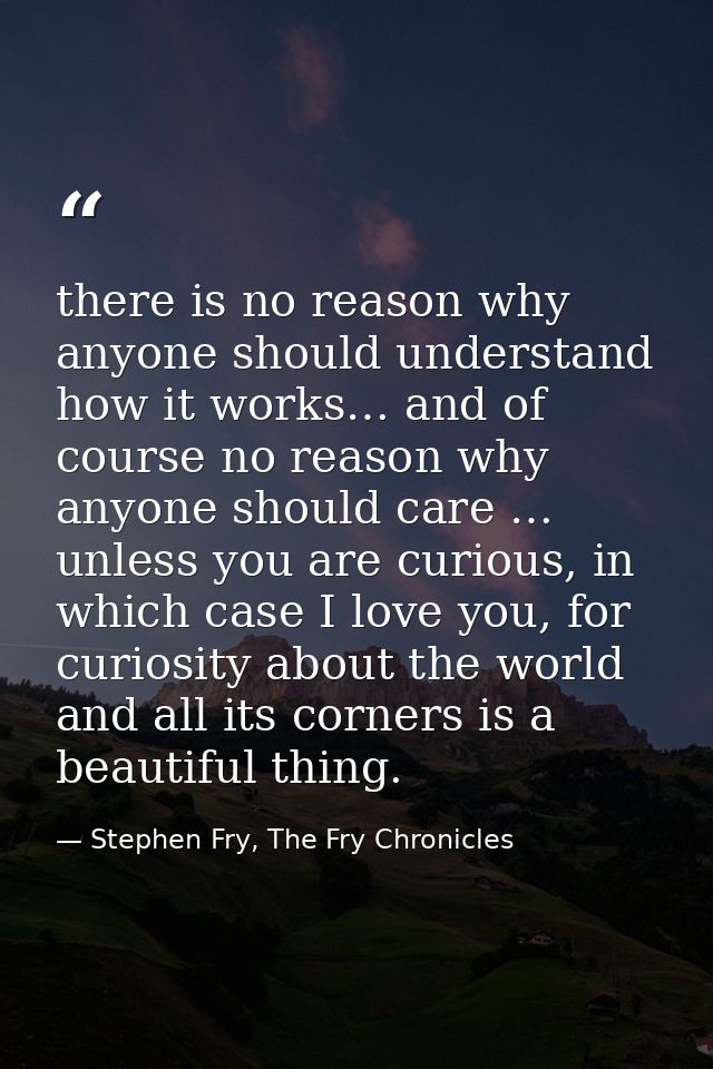 there is no reason why anyone should understand how it works… and of course no reason why anyone should care … unless yo — Stephen Fry, The Fry Chronicles