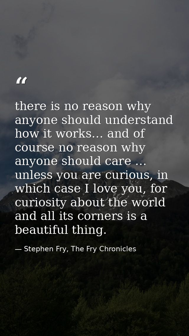 there is no reason why anyone should understand how it works… and of course no reason why anyone should care … unless yo — Stephen Fry, The Fry Chronicles