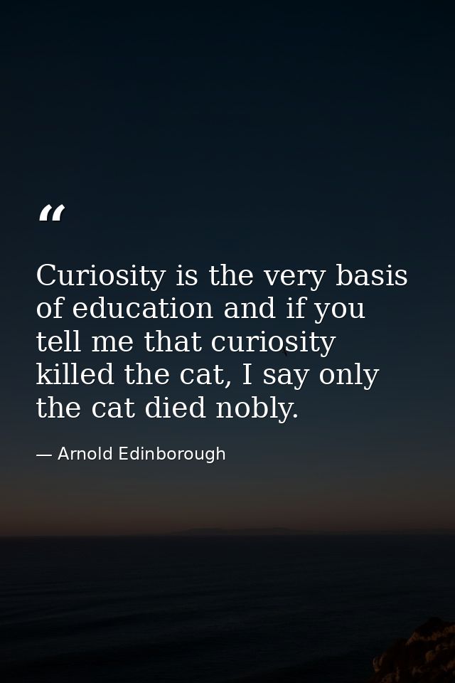 Curiosity is the very basis of education and if you tell me that curiosity killed the cat, I say only the cat died nobly — Arnold Edinborough