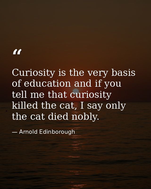 Curiosity is the very basis of education and if you tell me that curiosity killed the cat, I say only the cat died nobly — Arnold Edinborough