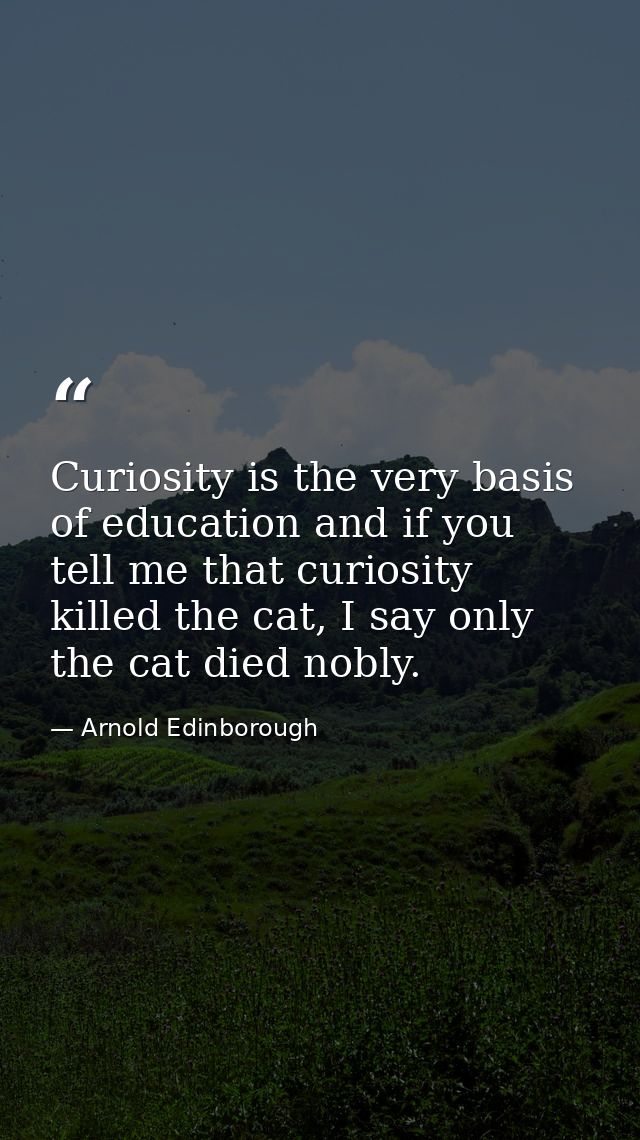 Curiosity is the very basis of education and if you tell me that curiosity killed the cat, I say only the cat died nobly — Arnold Edinborough