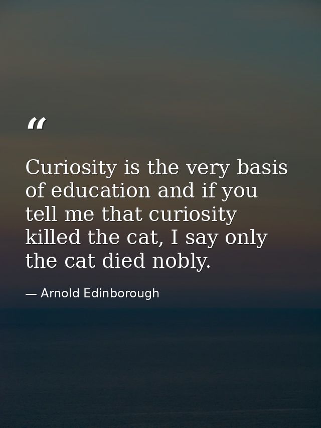 Curiosity is the very basis of education and if you tell me that curiosity killed the cat, I say only the cat died nobly — Arnold Edinborough