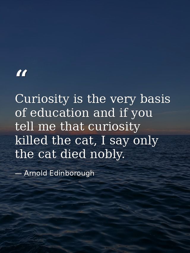 Curiosity is the very basis of education and if you tell me that curiosity killed the cat, I say only the cat died nobly — Arnold Edinborough