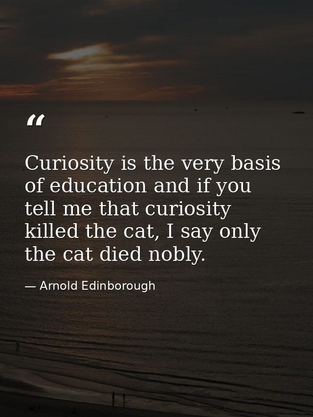 Curiosity is the very basis of education and if you tell me that curiosity killed the cat, I say only the cat died nobly — Arnold Edinborough