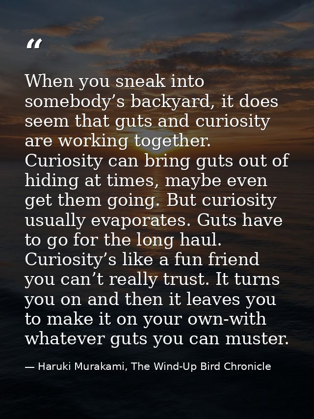 When you sneak into somebody’s backyard, it does seem that guts and curiosity are working together. Curiosity can bring  — Haruki Murakami, The Wind-Up Bird Chronicle