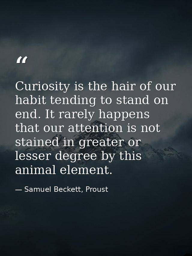 Curiosity is the hair of our habit tending to stand on end. It rarely happens that our attention is not stained in great — Samuel Beckett, Proust