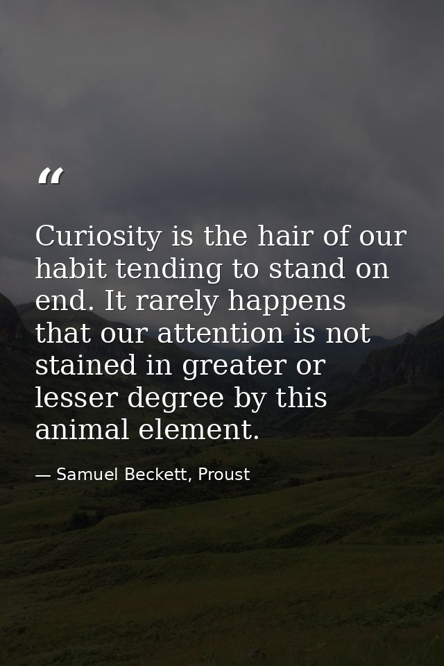 Curiosity is the hair of our habit tending to stand on end. It rarely happens that our attention is not stained in great — Samuel Beckett, Proust