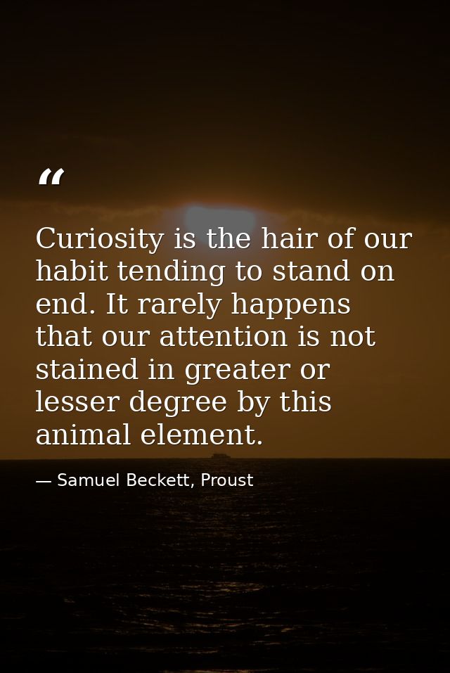 Curiosity is the hair of our habit tending to stand on end. It rarely happens that our attention is not stained in great — Samuel Beckett, Proust