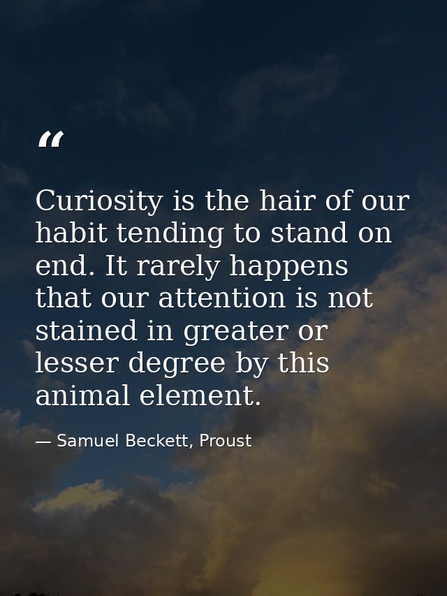 Curiosity is the hair of our habit tending to stand on end. It rarely happens that our attention is not stained in great — Samuel Beckett, Proust