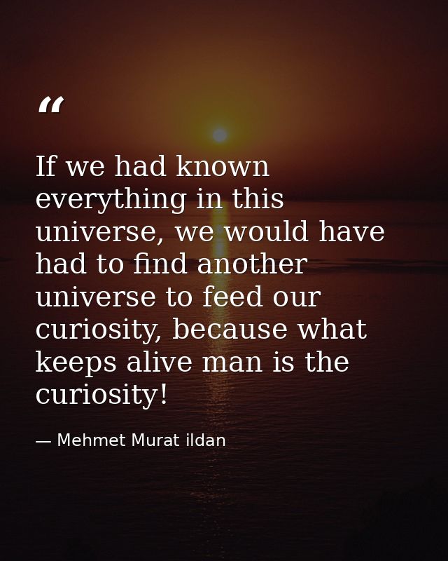 If we had known everything in this universe, we would have had to find another universe to feed our curiosity, because w — Mehmet Murat ildan