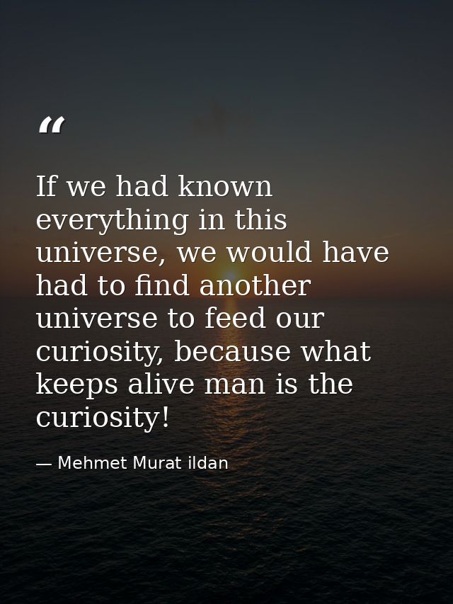 If we had known everything in this universe, we would have had to find another universe to feed our curiosity, because w — Mehmet Murat ildan