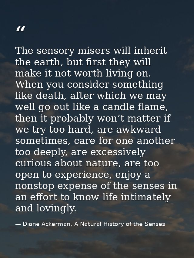 The sensory misers will inherit the earth, but first they will make it not worth living on. When you consider something  — Diane Ackerman, A Natural History of the Senses