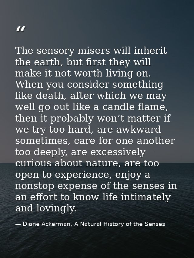 The sensory misers will inherit the earth, but first they will make it not worth living on. When you consider something  — Diane Ackerman, A Natural History of the Senses