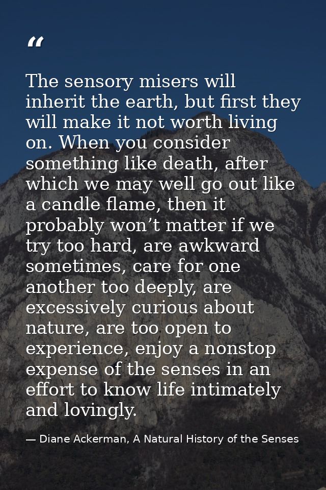 The sensory misers will inherit the earth, but first they will make it not worth living on. When you consider something  — Diane Ackerman, A Natural History of the Senses