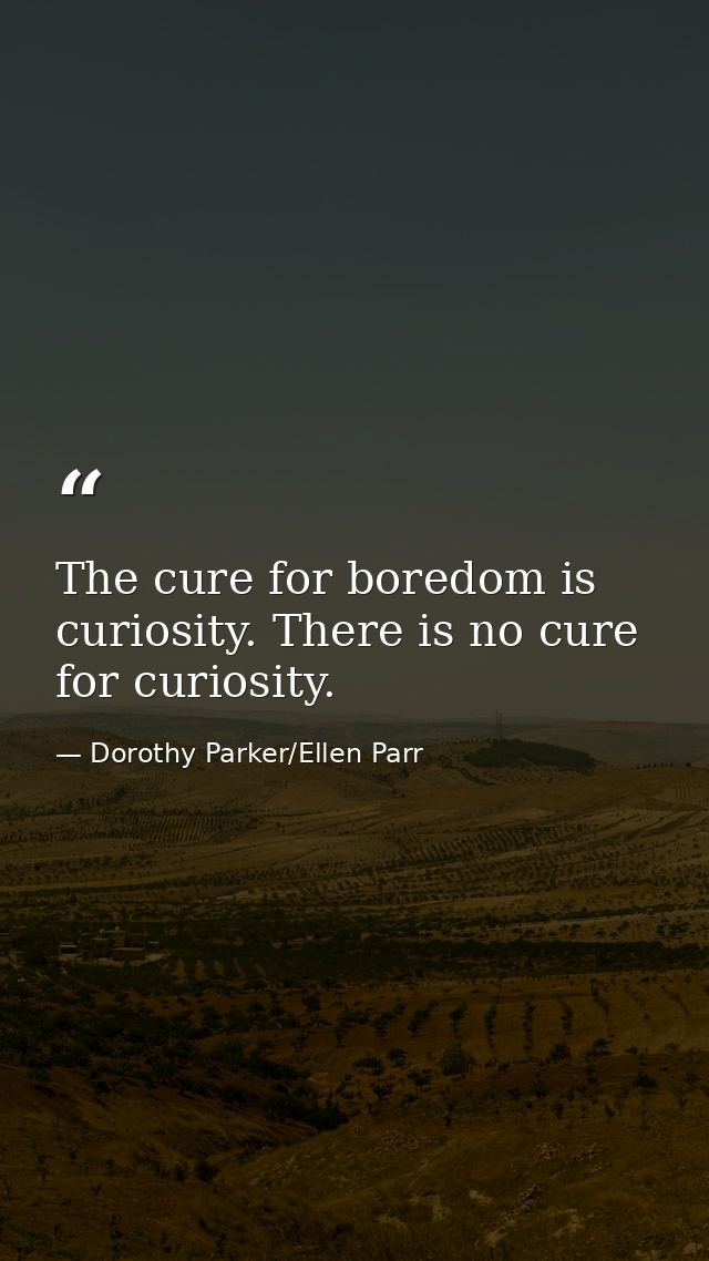 The cure for boredom is curiosity. There is no cure for curiosity. — Dorothy Parker/Ellen Parr