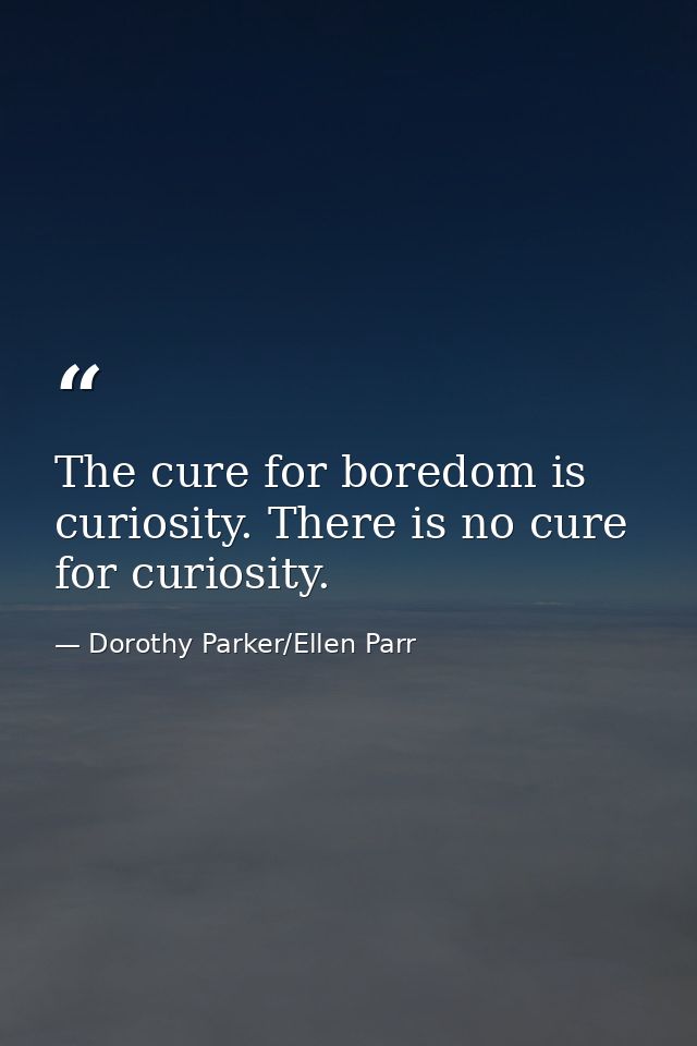 The cure for boredom is curiosity. There is no cure for curiosity. — Dorothy Parker/Ellen Parr