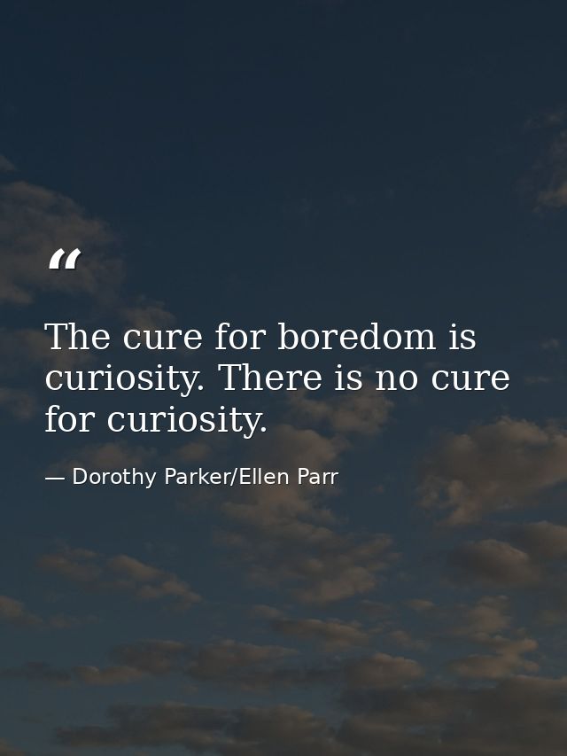 The cure for boredom is curiosity. There is no cure for curiosity. — Dorothy Parker/Ellen Parr