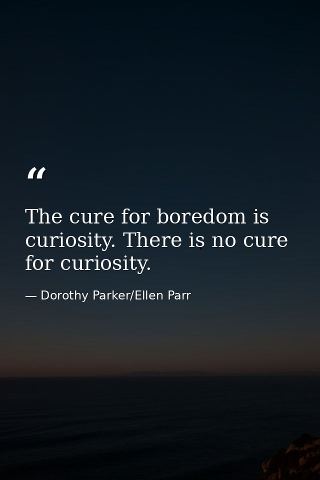 The cure for boredom is curiosity. There is no cure for curiosity. — Dorothy Parker/Ellen Parr