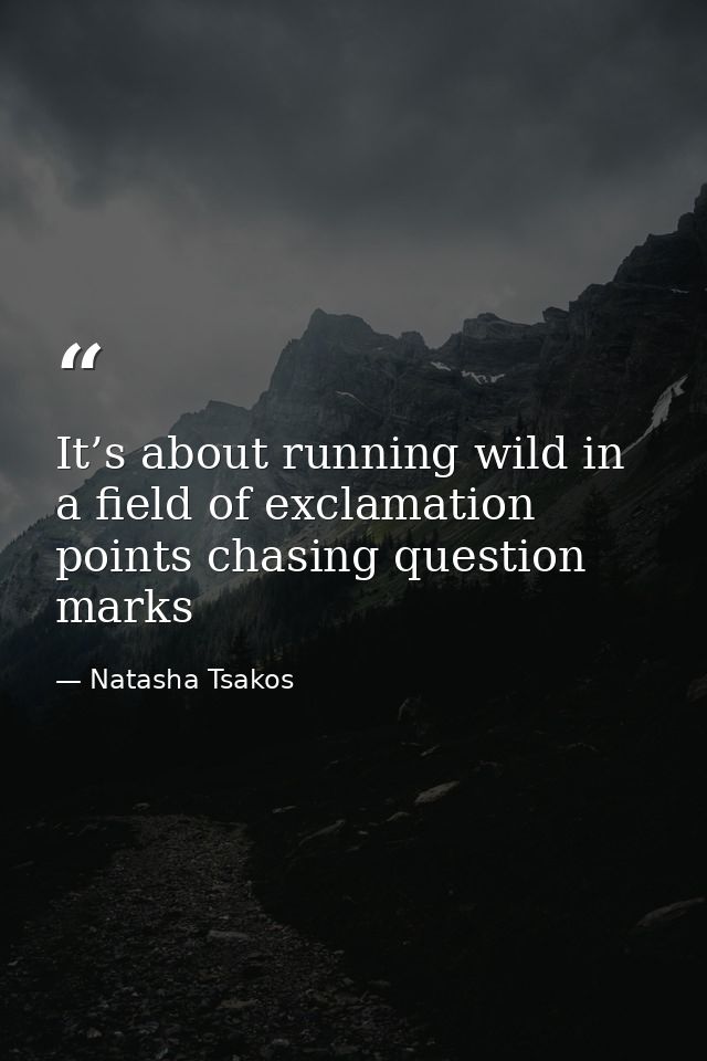 It’s about running wild in a field of exclamation points chasing question marks — Natasha Tsakos