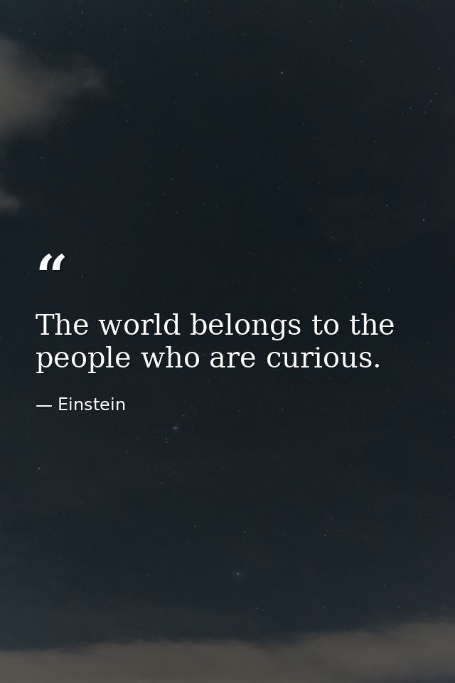 The world belongs to the people who are curious. — Einstein