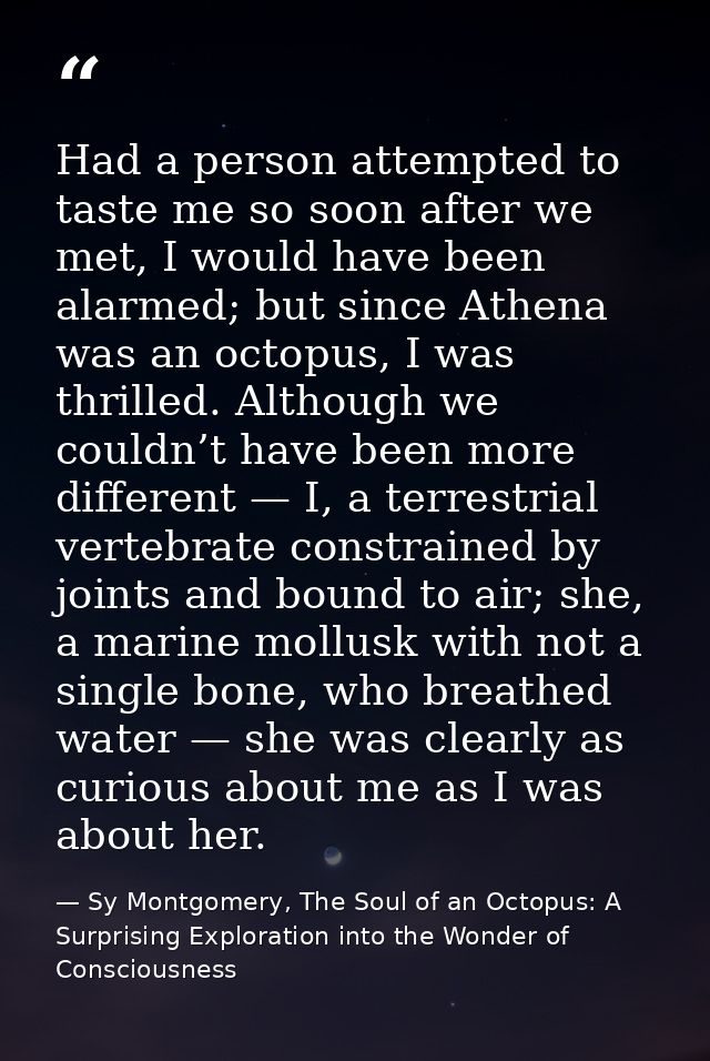Had a person attempted to taste me so soon after we met, I would have been alarmed; but since Athena was an octopus, I w — Sy Montgomery, The Soul of an Octopus: A Surprising Exploration into the Wonder of Consciousness