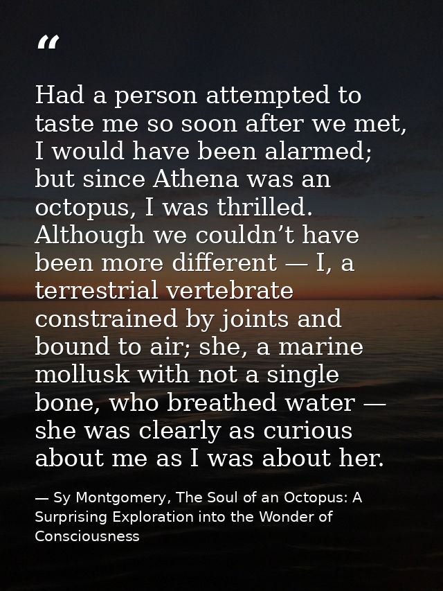 Had a person attempted to taste me so soon after we met, I would have been alarmed; but since Athena was an octopus, I w — Sy Montgomery, The Soul of an Octopus: A Surprising Exploration into the Wonder of Consciousness