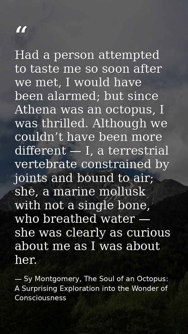 Had a person attempted to taste me so soon after we met, I would have been alarmed; but since Athena was an octopus, I w — Sy Montgomery, The Soul of an Octopus: A Surprising Exploration into the Wonder of Consciousness