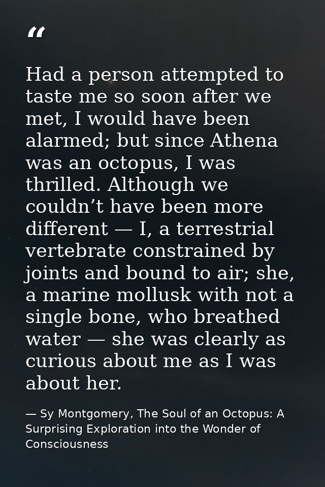 Had a person attempted to taste me so soon after we met, I would have been alarmed; but since Athena was an octopus, I w — Sy Montgomery, The Soul of an Octopus: A Surprising Exploration into the Wonder of Consciousness