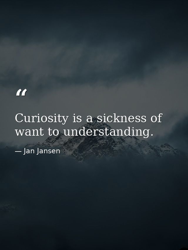 Curiosity is a sickness of want to understanding. — Jan Jansen