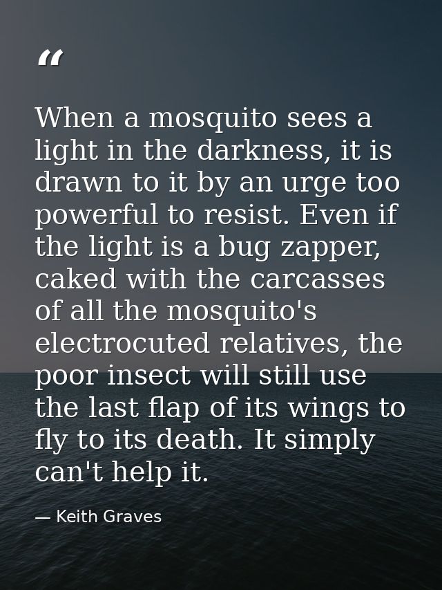 When a mosquito sees a light in the darkness, it is drawn to it by an urge too powerful to resist. Even if the light is  — Keith Graves