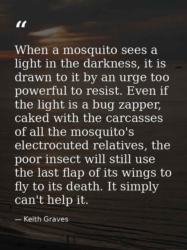 When a mosquito sees a light in the darkness, it is drawn to it by an urge too powerful to resist. Even if the light is  — Keith Graves